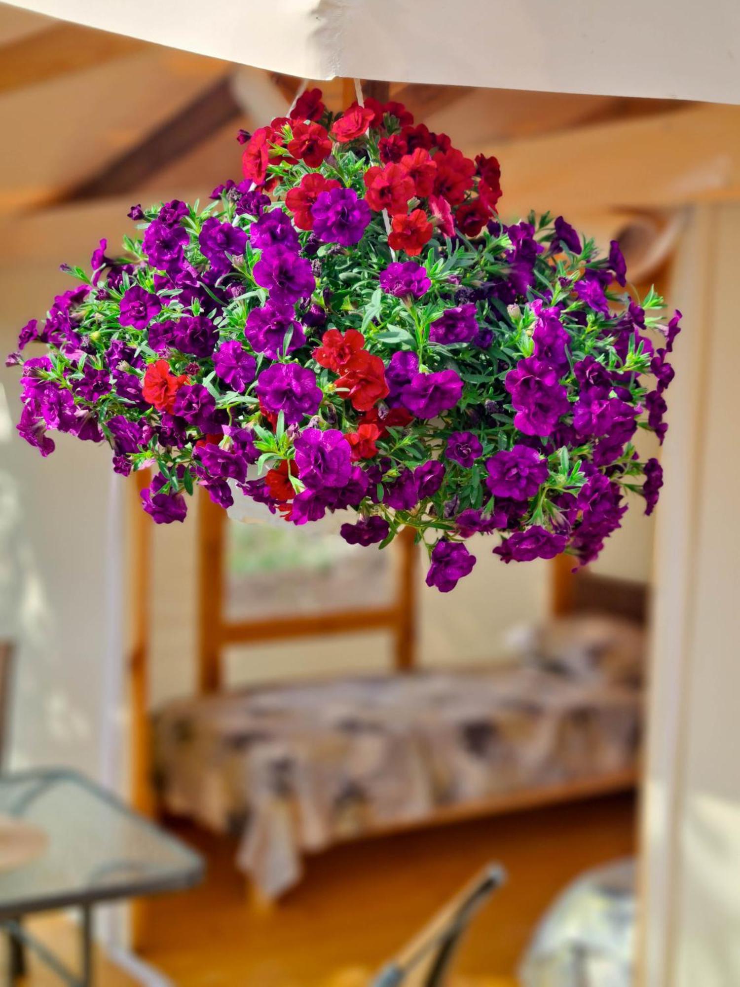 Camping Saint George 토폴라 외부 사진